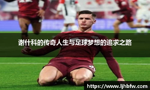 BB贝博官网