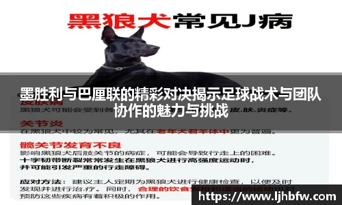墨胜利与巴厘联的精彩对决揭示足球战术与团队协作的魅力与挑战