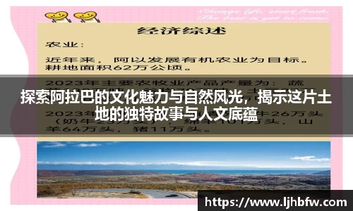 BB贝博官网